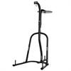 Everlast Heavy Bag / Speed Bag Stand Combo